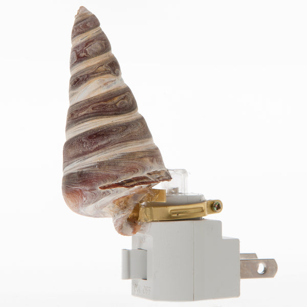 Seashell Night Light - Plug In Nightlight Handcrafted from Spiral Shell