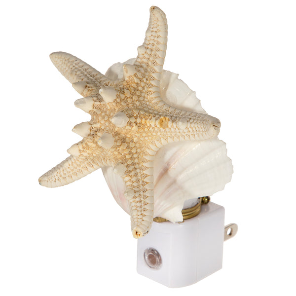 Seashell AND Starfish Night Light - Handcrafted Automatic Sensor Nite Lite