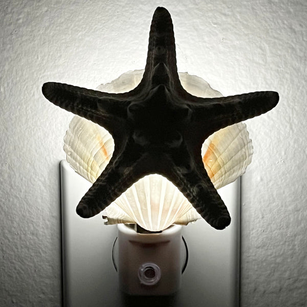 Seashell AND Starfish Night Light - Handcrafted Automatic Sensor Nite Lite