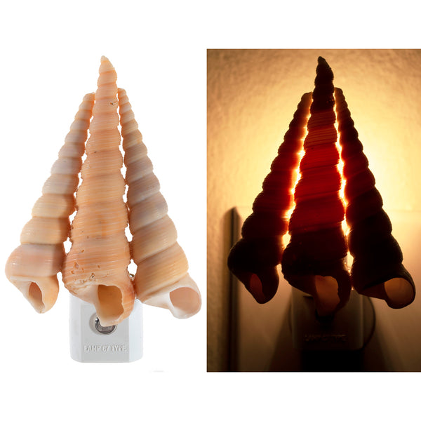 Seashell Night Light - Handcrafted Automatic Sensor Natural Lamp