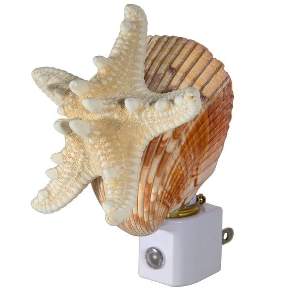 Seashell AND Starfish Night Light - Handcrafted Unique Automatic Sensor Nite Lite